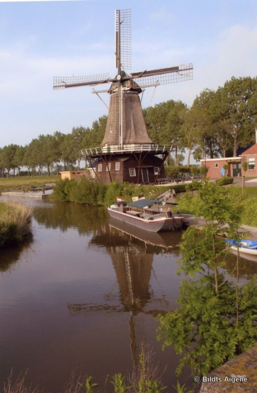 De Vrouwbuurtster molen